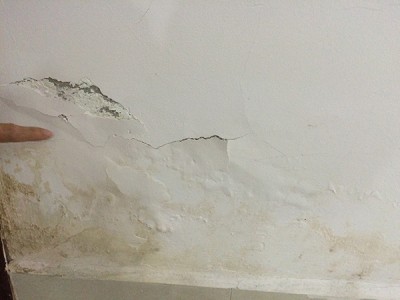 Màng sơn bị nổi muối