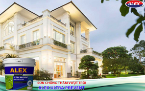 Sơn Alex ra mắt sản phẩm chống thấm vượt trội Alex Ultra Prevent